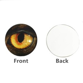 ZHU YU CHUN 20 Pcs Mixed Animals' Eye Printed Glass, Round Glass Cabochons for Jewelry Findings Cameo Pendant Making (40mm/1.5 inch)