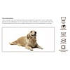 Doggy DrySaver Towel - by Rapid Dry Towels - Luxurious