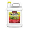 GORDON'S Brush Killer for Large Property
