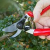 Darlac Expert Bypass Pruner with Rotating Handle – Comfortable Garden
