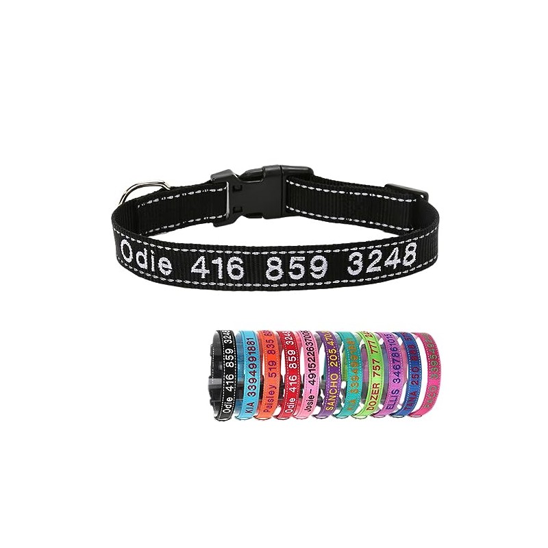 Collar de Perro Nylon Reflectante con Nombre Personalizado Collar Perro