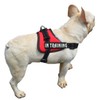 Removable Dog Patches for Vests & Harness - Reflective /