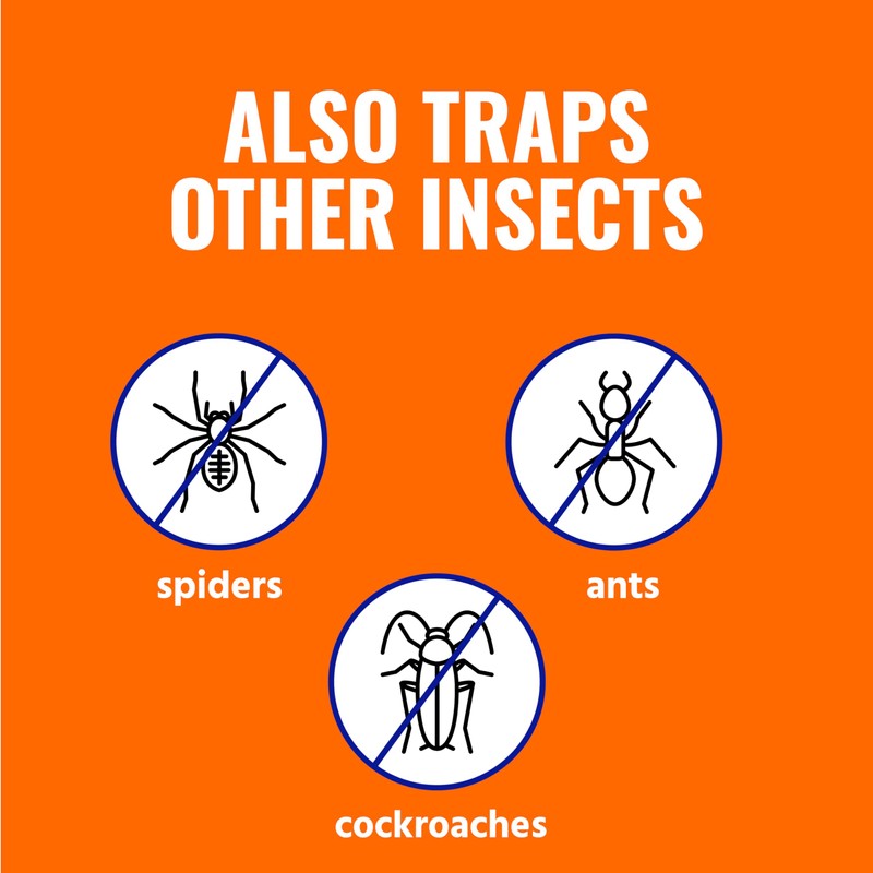 Terro T230 Indoor Electric Flea Trap and Killer - Refillable