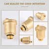 LALAGO Automatic Quick Bleeder DN15 1/2 Inch Bleed Valve, Brass