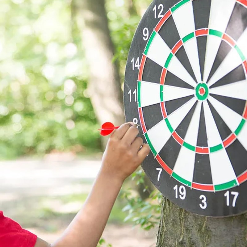 Cork Dartboard, Includes 4 Darts Metal Tip, Professional Number Ring