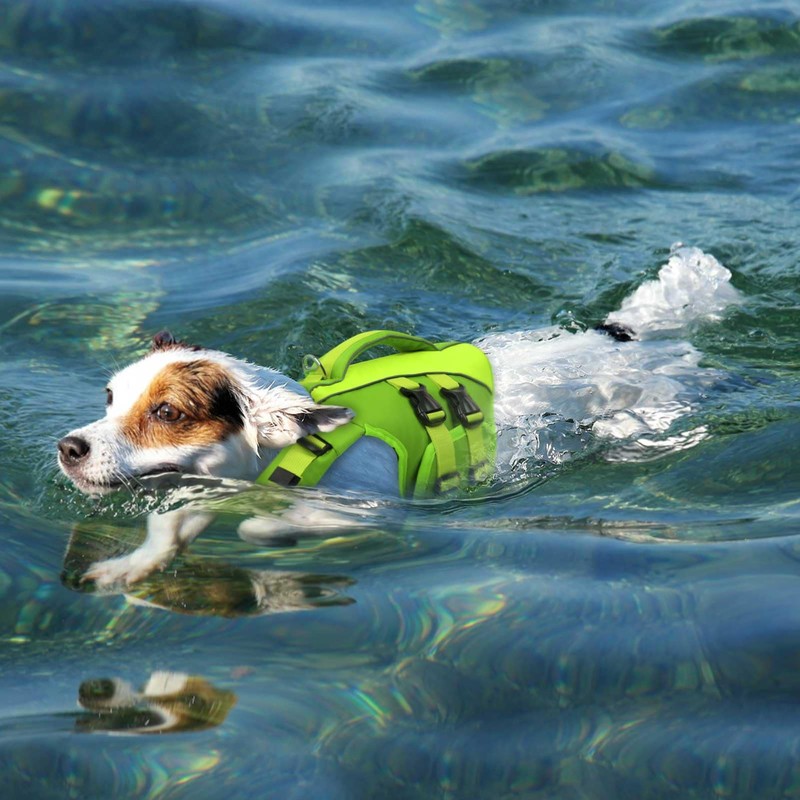 Queenmore Small Dog Life Jacket,Small Dog Life Vest for Swimming,Adjustable