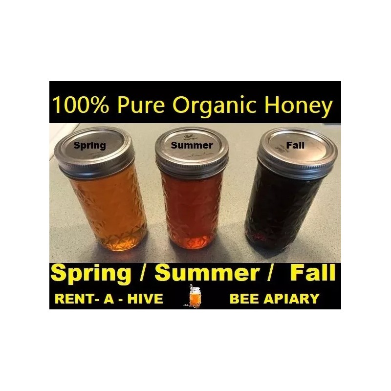 Rent A Hive Killer Bee HONEY The best HONEY ON