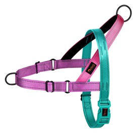 Didog No Pull Dog Harness with Soft Padded Handle, Quick Fit & Lightweight Adjustable Vest Harness, Easy for Training Walking for Small & Medium and Large Dogs(Dark Green,S)