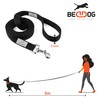 BedDog® Tyson Training Lead with Storage Bag, Long Lead with