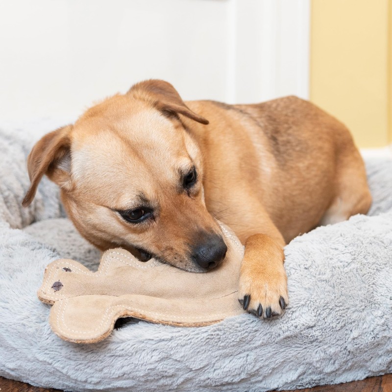 SPOT Dura-Fused Leather Squirrel Dog Toy – Real Leather &