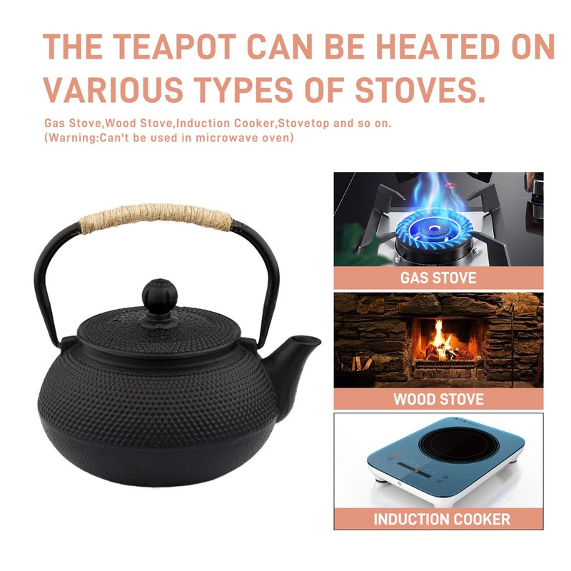 SECHUDO Japanese Tetsubin Cast Iron Teapot Tea Kettle pot with