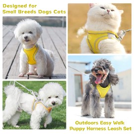PETPUBGNZS Soft Small Dog Harness and Leash Set Mesh Puppy Harnesses Leash Easy Walk Dog Vest Adjustable Reflective No Pull Dogs Harnesses for Small Dogs Cats (Yellow Grey, L)