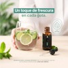 Aceite Esencial con Ingredientes Puros y Naturales, Aromalogía de 50