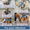 DO&G Coodeo Dog Lift Harness Pet Support Rehab Small Blue