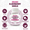 Max Strength USDA Organic Black Elderberry, Black Currant Extract &