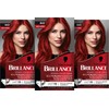 Brillance Intensive Colour Cream Hair Colour 842 Cashmere Red Level