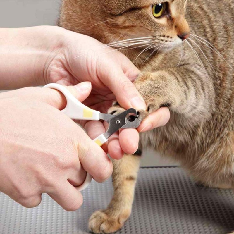 Catty Man Curb Claw Clipper for Cats