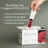 Wellinus Palitos Gelatina Colágeno Coreano Bocadillos Péptidos Marino Sabor Granada