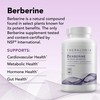 Theralogix Berberine Enhanced Absorption - 90-Day Supply - Made with