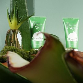 Owner Clan 세안후 당김없이 페퍼민트잎 모공 클렌징폼 120ml 2개 Peppermint Leaf Pore Cleansing Foam 120ml 2 Pack Without Tightening After Washing