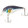 Berkley - Anzuelo de Pesca de Agua Dulce (Todos los