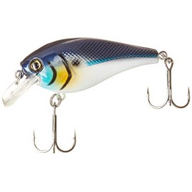 Berkley - Anzuelo de Pesca de Agua Dulce (Todos los Estilos y Colores), SquareBull, Espalda Azul, 2" (1/4 oz)(1 Count)