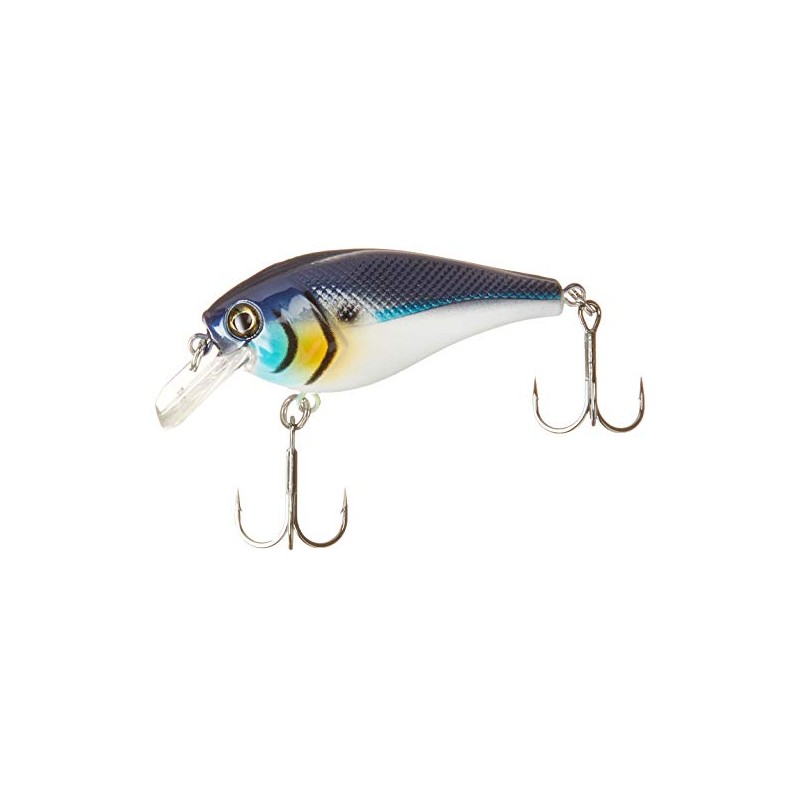 Berkley - Anzuelo de Pesca de Agua Dulce (Todos los
