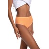 Nutria Womens Bikini Brief Quick Dry Travel Underwear 5-Pack Mesh