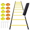 USK STORE Ladder Training Marker Cones Set of 10 Storage