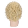 Lady Miranda Blonde Curly Wig Afro Kinky Curly Wigs with