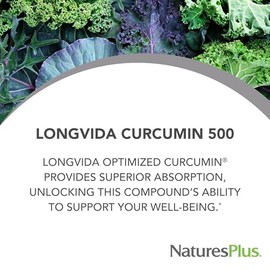 NaturesPlus Cúrcuma PRO Longvida 500 mg - 60 cápsulas - Promueve una protección saludable contra los radicales libres - Sin OMG, vegano y sin gluten -