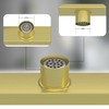 Bmvlffs Brushed Gold 24-Inch Linear Shower Drain with Tile Insert