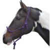 Y-H Hy Rope Halter Black Cob/Full
