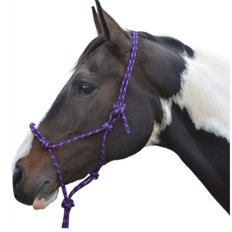 Y-H Hy Rope Halter Black Cob/Full