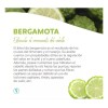 Shampoo De Bergamota Tonico Gomita Bio Colagno Cabello Shelo
