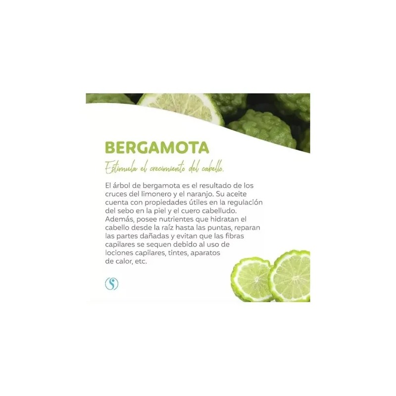 Shampoo De Bergamota Tonico Gomita Bio Colagno Cabello Shelo