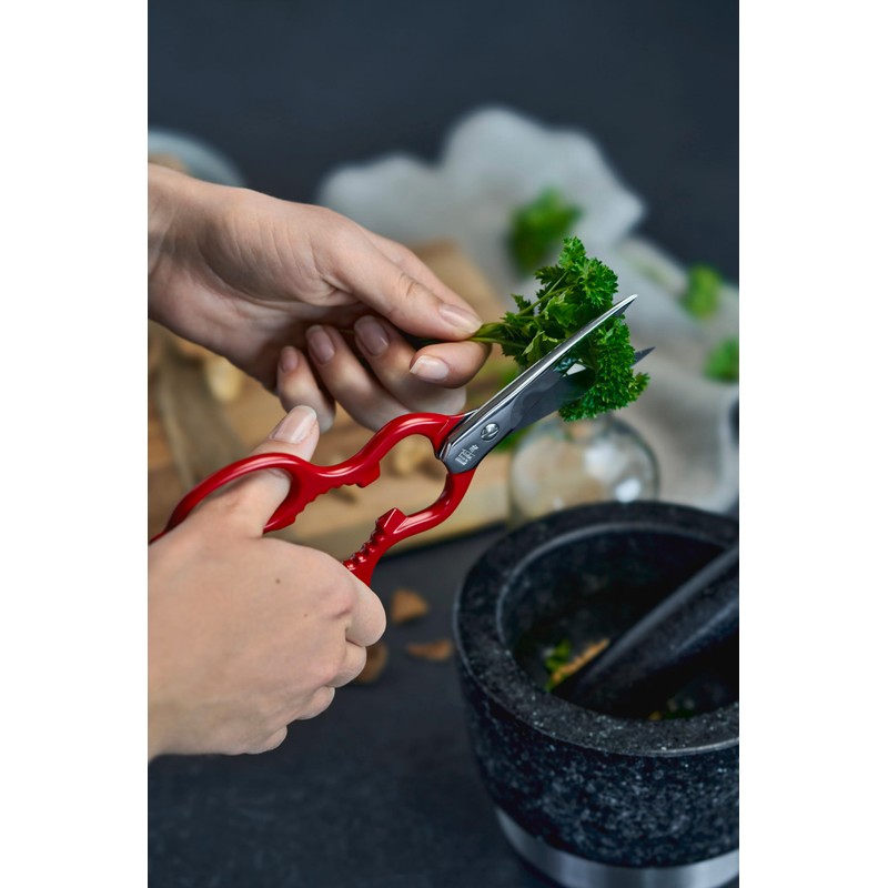 ZWILLING 43923-200-0 stationery/craft scissors