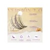 Extensiones De Pestañas Autoadhesivas Kit Larga Duración Bq
