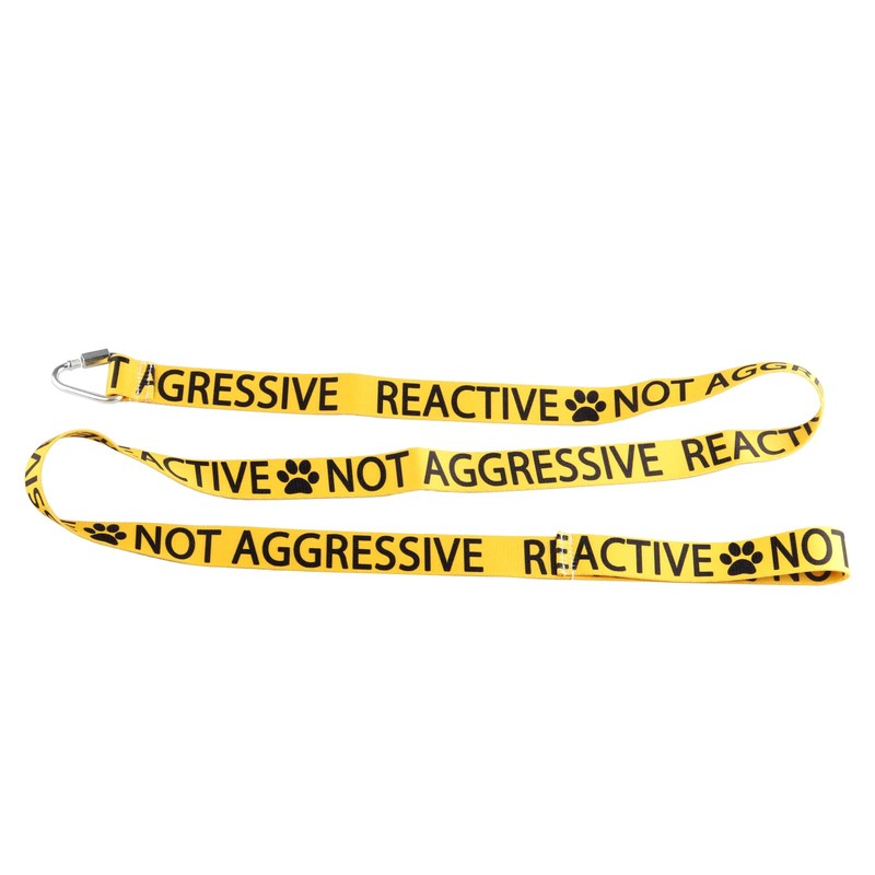 Reactive Not Aggressive Dog Lead Dog Leash Dot Not Pet