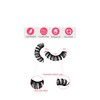 Cat Eye & Russian Mink Lashes| D Curl Fluffy Eyelashes|