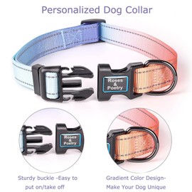 Roses&Poetry Reflective Dog Collar with Gradient Azure, Adjustable Durable Pet Collars for Small Medium Large Dogs (Azure-L)