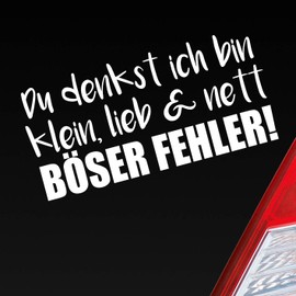 Hellweg Druckerei Car Sticker "Du denkst ich Bin klein, lieb & nett Böser Fehler" Rear Window Sticker