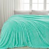 NEWCOSPLAY Super Soft Throw Blanket Aqua Premium Silky Flannel Fleece