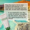 Recovery Mud Mask Deep Pore Cleanser Mud Masks for Pore