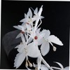 WOONEKY White Butterfly Chiffon Soft Chain Headband for Women Elegant