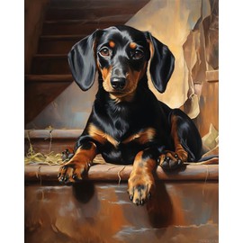 ZUVRDIAI Dog Art Paint by Numbers for Adults Beginner, Dachshund on Stone Steps, Pets Paint by Number Kits on Canvas, 40x50cm, Without Frame