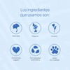 Corrector de ojeras hidratante natural TEIA 7g tono claro –