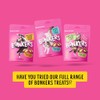 Bonkers Bites Catnip & Chick 'N' Cheddar Flavor Crunchy &