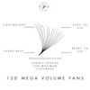 1000 Premade volume fans | 12D | 0.05 | Handmade