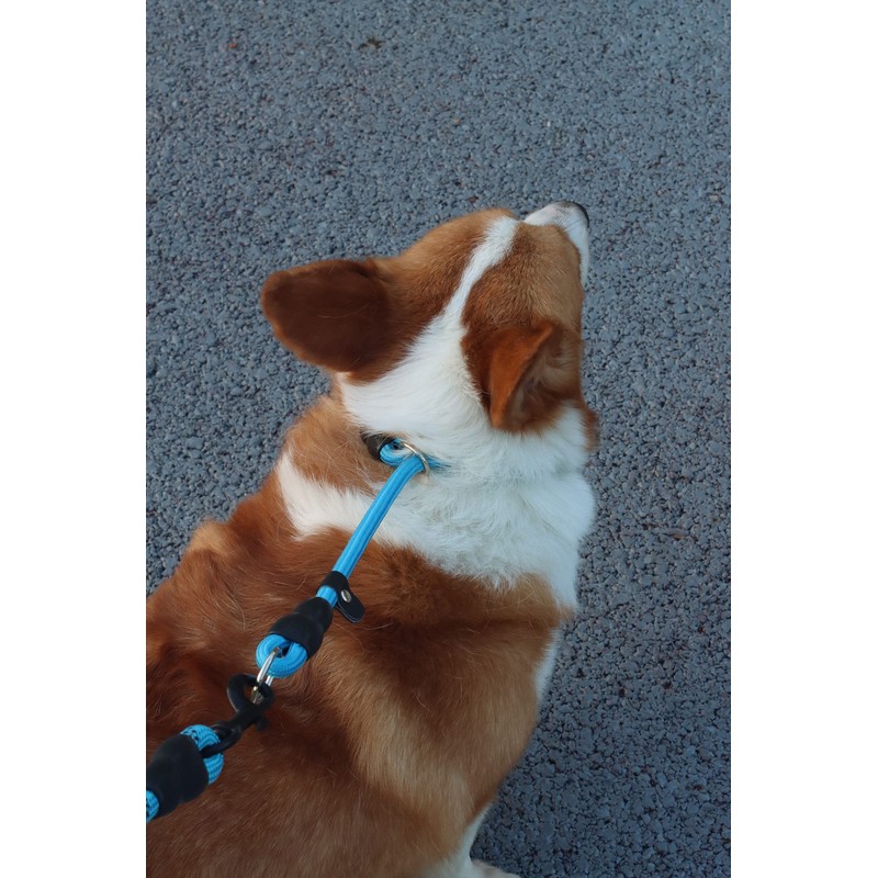 Mystercome Slip Collar, Dog Choker Collar, Nylon Dog Training Collar